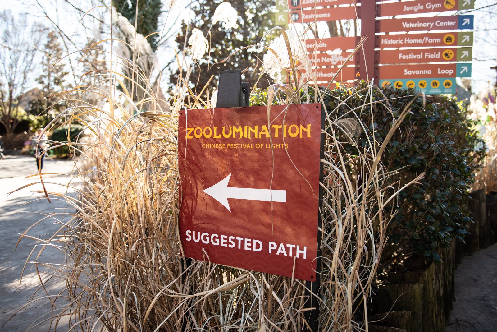 20-Zoolumination-11.product image 1